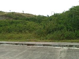  Land for sale in Liloan, Central Visayas, Liloan