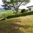  Land for sale in Neira, Caldas, Neira