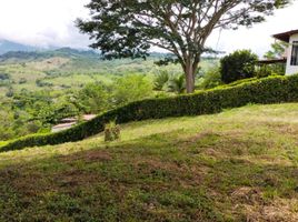  Land for sale in Caldas, Neira, Caldas