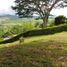 Land for sale in Neira, Caldas, Neira