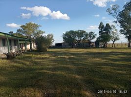  Land for sale in Santana Do Livramento, Rio Grande do Sul, Espinilho, Santana Do Livramento