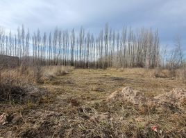  Terreno (Parcela) en venta en Rio Negro, General Roca, Rio Negro