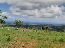  Terreno (Parcela) en venta en San Carlos, Panamá Oeste, La Laguna, San Carlos