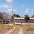 2 Schlafzimmer Haus zu verkaufen in Tizimin, Yucatan, Tizimin