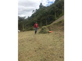  Land for sale in Conocoto, Quito, Conocoto