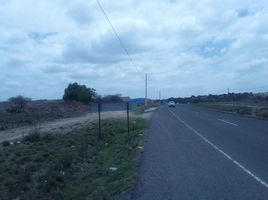  Land for sale in Gomez Palacio, Durango, Gomez Palacio