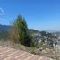  Grundstück zu verkaufen in Monterrey, Nuevo Leon, Monterrey