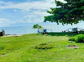  Terrain for sale in Island Garden Samal City, Davao del Norte, Island Garden Samal City