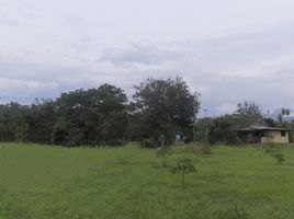  Terreno (Parcela) en venta en Ginebra, Valle Del Cauca, Ginebra