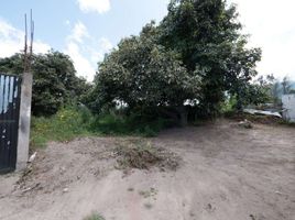  Land for sale in San Fco De Natabuela, Antonio Ante, San Fco De Natabuela