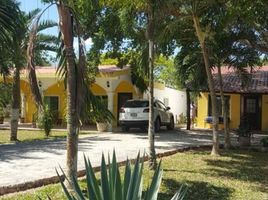 3 Schlafzimmer Haus zu verkaufen in Tizimin, Yucatan, Tizimin