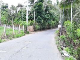  Land for sale in Amadeo, Cavite, Amadeo