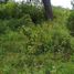  Land for sale in Huitzilac, Morelos, Huitzilac