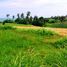  Land for sale in Kerambitan, Tabanan, Kerambitan