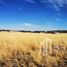  Land for sale in Durango, Durango, Durango, Durango