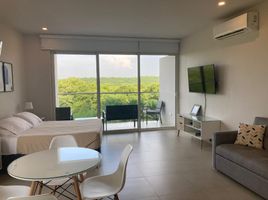 1 Bedroom Apartment for sale in Kuna Yala, Puerto Obaldia, Kuna Yala, Kuna Yala