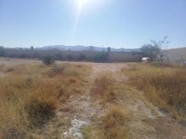 Studio House for rent in San Luis Potosi, San Luis Potosi, San Luis Potosi, San Luis Potosi