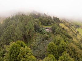  Grundstück zu verkaufen in Banos De Agua Santa, Tungurahua, Banos De Agua Santa, Banos De Agua Santa