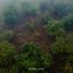  Land for sale in Calnali, Hidalgo, Calnali