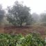  Land for sale in Calnali, Hidalgo, Calnali