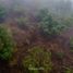 Land for sale in Calnali, Hidalgo, Calnali