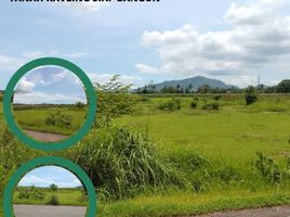  Land for sale in Jenggawah, Jember, Jenggawah