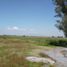  Land for sale in Atenco, Mexico, Atenco
