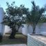 3 Habitación Casa en alquiler en Merida, Yucatán, Merida, Yucatán