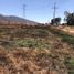  Land for sale in Chapa De Mota, Mexico, Chapa De Mota