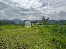  Land for sale in Caldas, Manizales, Caldas