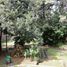 3 Schlafzimmer Villa zu verkaufen in Moron, Buenos Aires, Moron