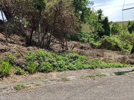  Grundstück zu verkaufen in Miacatlan, Morelos, Miacatlan