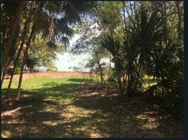  Grundstück zu verkaufen in Othon P Blanco, Quintana Roo, Othon P Blanco