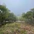  Land for sale in San Fernando, Chiapas, San Fernando