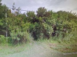  Land for sale in Kuala Selangor, Selangor, Jeram, Kuala Selangor