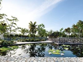  Land for sale in Dzidzantun, Yucatan, Dzidzantun