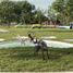  Land for sale in Dzidzantun, Yucatan, Dzidzantun