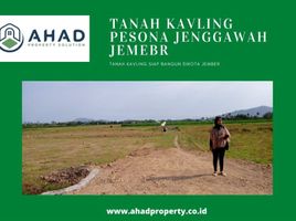  Tanah for sale in Jenggawah, Jember, Jenggawah