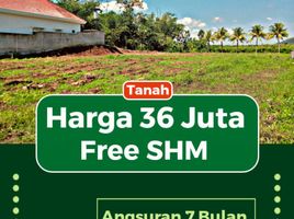  Land for sale in Banyuwangi, East Jawa, Gambiran, Banyuwangi