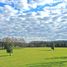  Terreno (Parcela) en venta en Los Lagos, Valdivia, Los Lagos