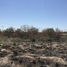  Land for sale in Torreon, Coahuila, Torreon, Coahuila