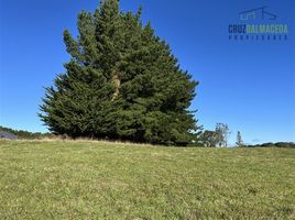  토지을(를) 로스 라고스에서 판매합니다., Puerto Montt, Llanquihue, 로스 라고스