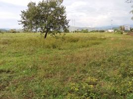  Land for sale in Garzon, Huila, Garzon