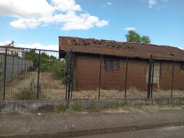  Terreno (Parcela) en venta en Bulnes, Diguillín, Bulnes