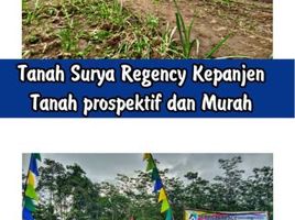  Land for sale in Malang Regency, East Jawa, Kepanjen, Malang Regency