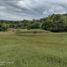5 Bedroom Villa for sale in Montenegro, Quindio, Montenegro