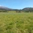  Land for sale in Conocoto, Pichincha, Conocoto