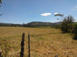  Land for sale in Conocoto, Pichincha, Conocoto