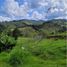 Terrain à vendre à Retiro, Antioquia, Retiro
