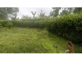  Grundstück zu verkaufen in Salento, Quindio, Salento, Quindio